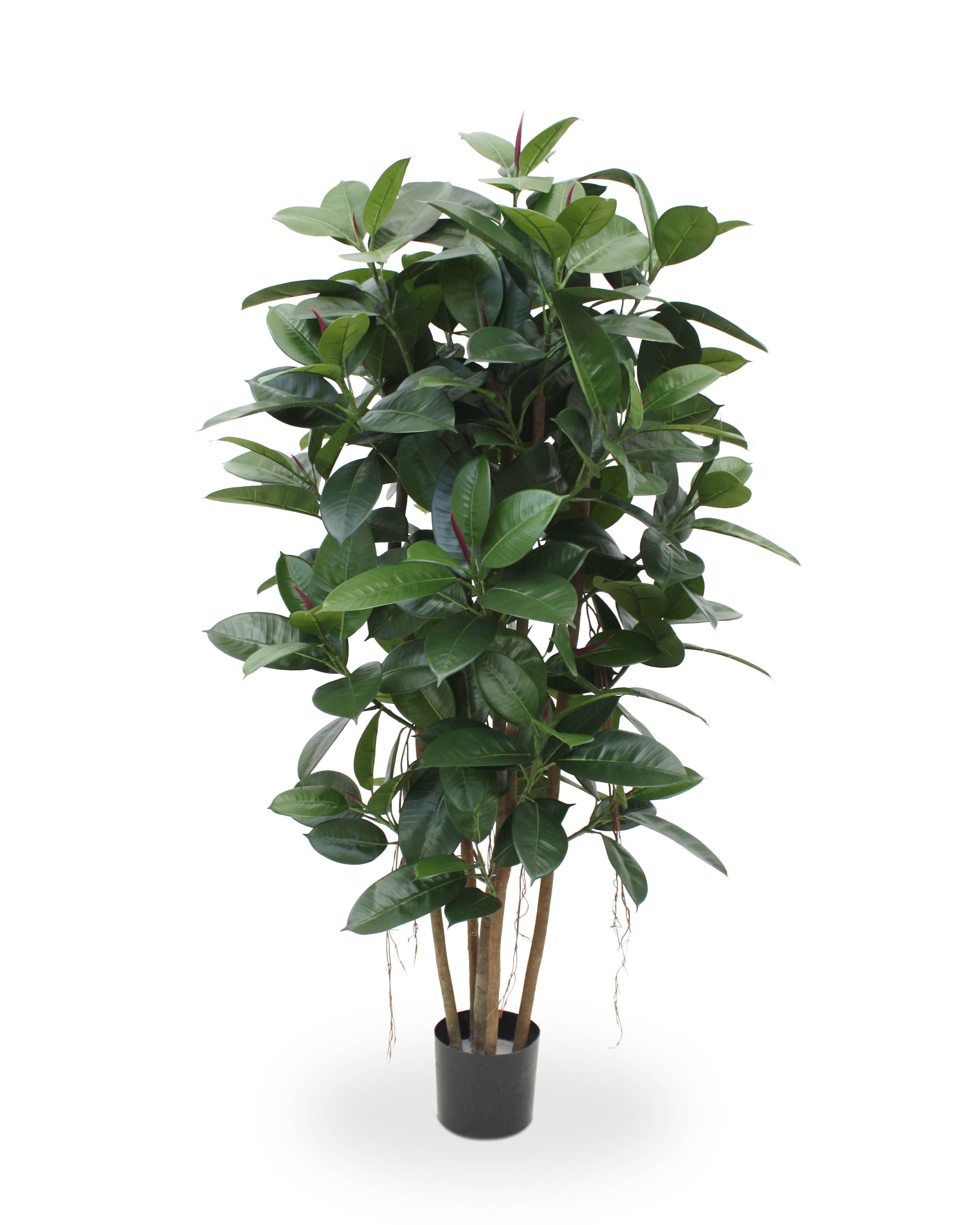 Artificial potted plant on a white background